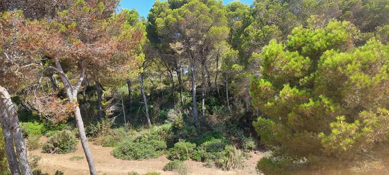 Sol Y Mar Villa Cala Ratjada  Holiday home