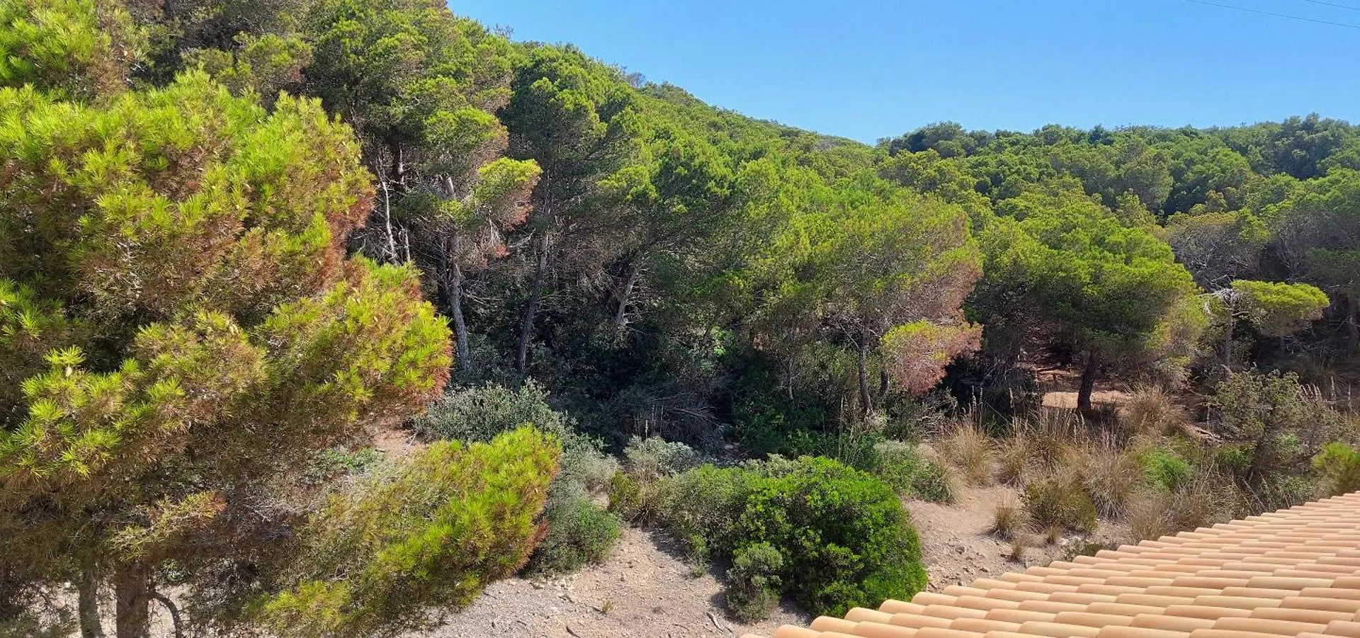Holiday home Sol Y Mar Villa Cala Ratjada
